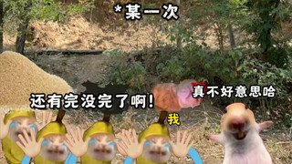 当我是先天除颤仪圣体时