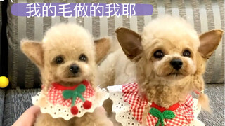 用它的毛毛做了一个小小的它，快@你最好的闺蜜帮你做～