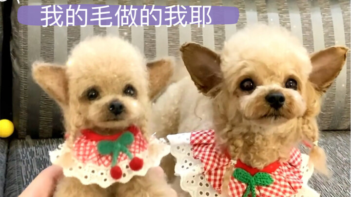 用它的毛毛做了一个小小的它，快@你最好的闺蜜帮你做～
