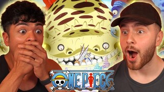 SHIRAHOSHI'S POWERS ARE CRAZY!! - One Piece Episode 544 + 545 REACTION + REVIEW!