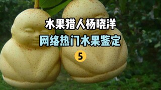 [Fruit Hunter x Hunter] Identifikasi Buah Populer Online 5