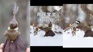 莲花女士和小鸟的故事