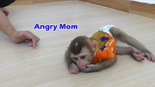 Wow Little Monkey Maki sleep Alone Angry With Mom Because Mom Not Give Milk To Him