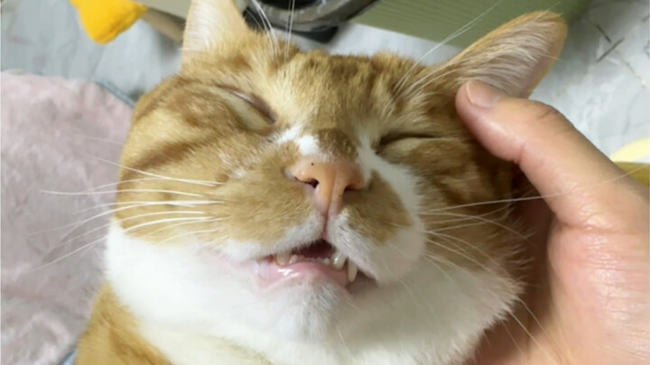 Apa yang harus dilakukan jika anak selalu tidur dengan mulut terbuka?