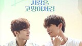 LOVE IS LIKE A CAT EP2 /SUB INDO