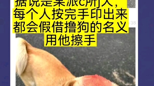 Civil servants aren’t allowed to dye their hair, right?