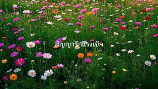 สัญญา