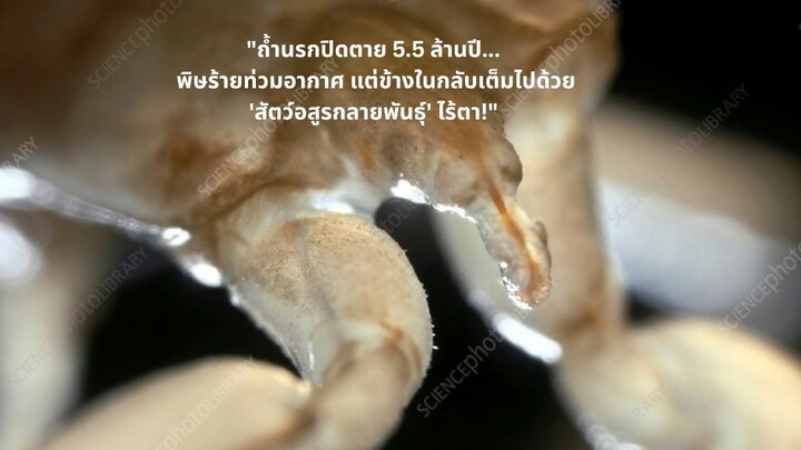 คุณเคยเห็น "ถ้ำนรกปิดตาย" นาน 5.5 ล้านปี ที่อากาศเป็นพิษจนมนุษย์หายใจแล้วตาย แต่ข้างในกลับเต็มไปด้วย