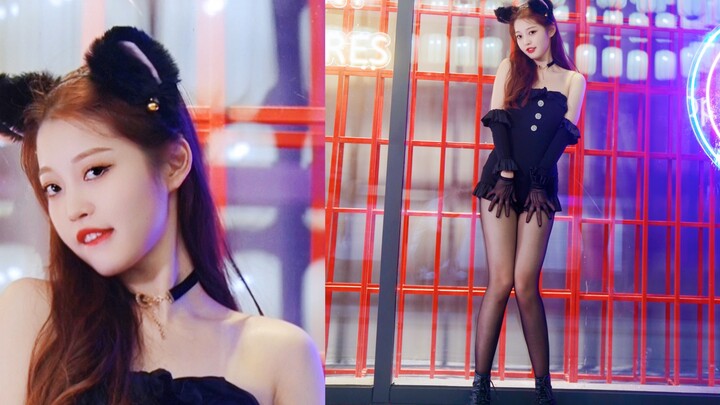 AOA sexy kitten online～