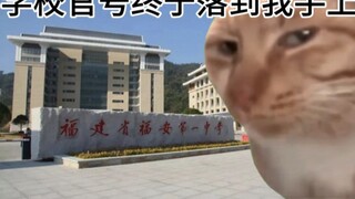 【Cat Meme】A Middle School Student ✘ Great Love Immortal ✔