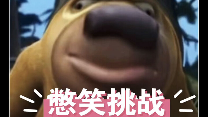 ！！！憋笑挑战！！！日常搞笑