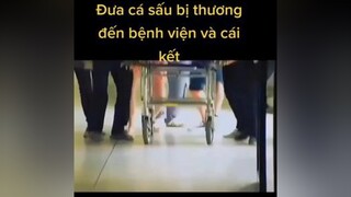 Chúc mn xem video vui vẻ nhé phimhaymoingay rewiewphim