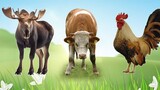 Wild Animal Sounds In Peaceful: Rooster, Cow, Moose, Reindeer,... | Funny Animal Moments