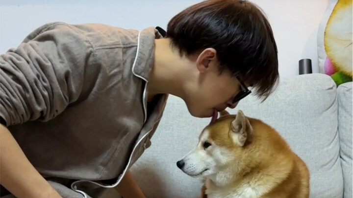 How to Show Your Love for a Puppy