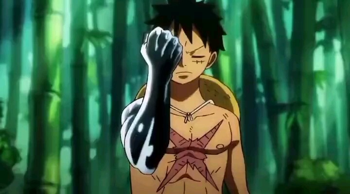 [One Piece] Luffy is getting closer to the king