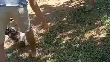 spar of broodcock by.AVC GF.