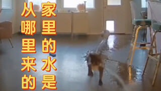家里的水是从哪里来的？