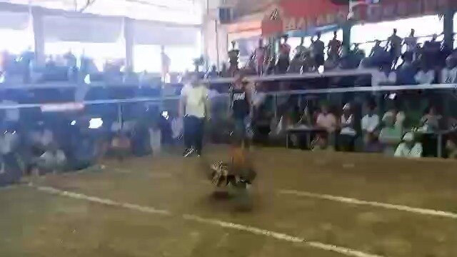 Magtito Gamefarm 5K Gilmore 2Hits Malabon Grande - Win.