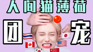 رجل غريب محبوب من قبل الأعضاء من جميع أنحاء العالم (الجزء 2) [NCT/WayV][All昀][Group Pet]