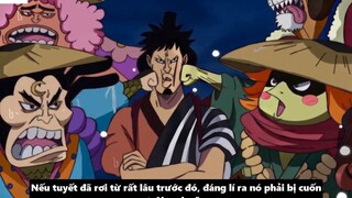 Mục Đích Của Aokiji Khi Đến Wano - Yamato Sẽ Vào Băng Mũ Rơm _ 2