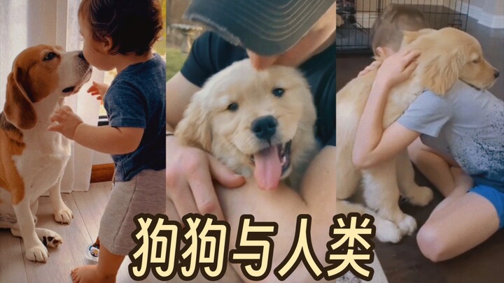 Dunia membutuhkan anjing, manusia juga membutuhkan anjing!