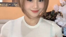 nojib23