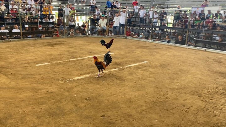 2 hits ulutan @34k event center Bautista pangasinan W-W Champion*