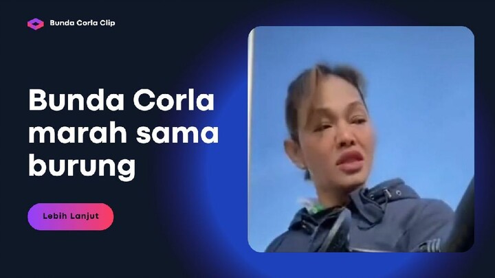 Bunda Corla Marah Sama Burung