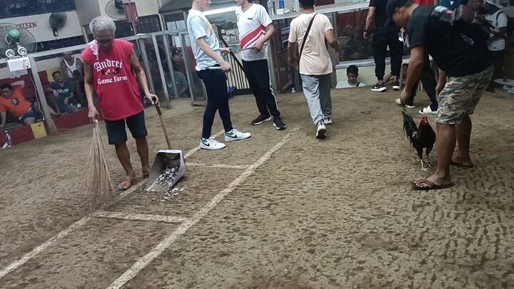sqc   fight