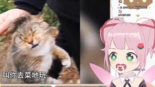 Japanese Fairy Watch "What Do Cats Do When They Return Home for Chinese New Year?"