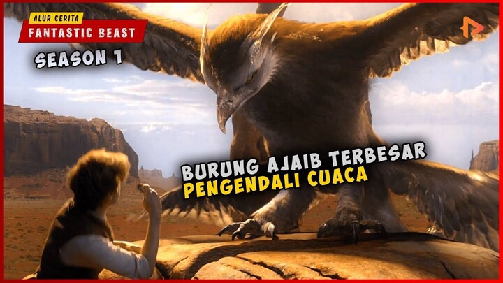 (REWATCH) Kisah Para Penyihir Sebelum Adanya Dunia Harry Potter  FANTASTIC BEAST