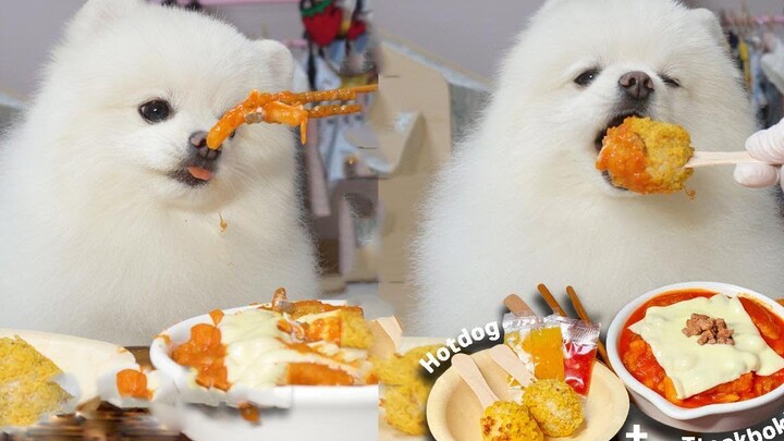 A super cute, big-eating little dog‑puppy, paired with a special‑recipe hot dog in cheese-fried rice
