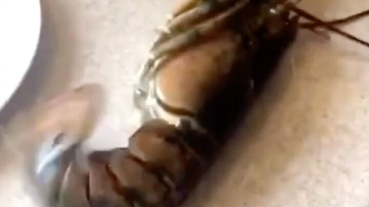 แม่! ฟังหนูอธิบายสิ!