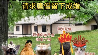 猫猫meme版西游记