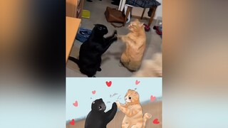 Trò mèo🤣 mèo cute foryou