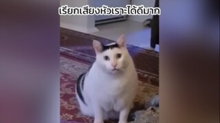 เสียงหัวเราะในแต่ละวัน