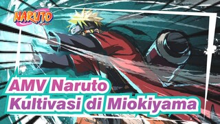 [AMV Naruto] Momen Puncak Pembalasan! Inilah Hasil Kultivasi di Miokiyama