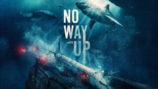 🅽🅾 🆆🅰🆈 🆄🅿 - 2024