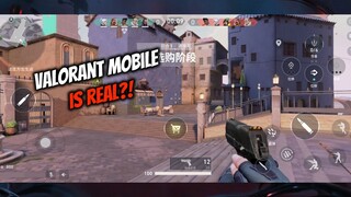 VALORANT MOBILE UDH ADA YANG MAIN?! | LEAKED! | Valorant Indonesia