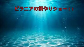 ピラニアに食われる子ずん