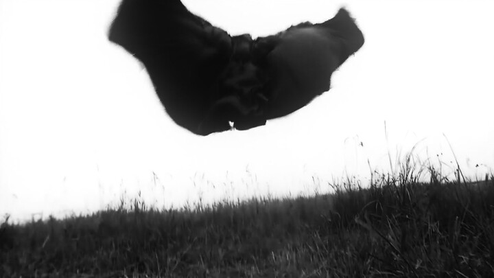 “At this speed, it totally makes sense to be on the highway!”