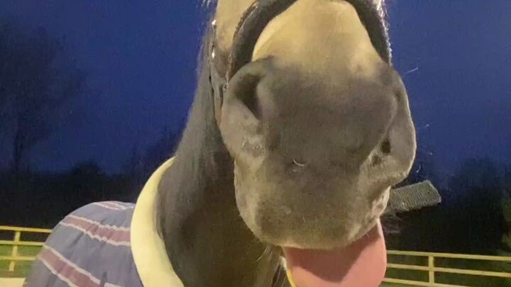 Sorry, I forgot to retract my tongue.