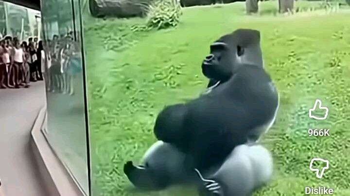 funny video 🤣🤣🤣