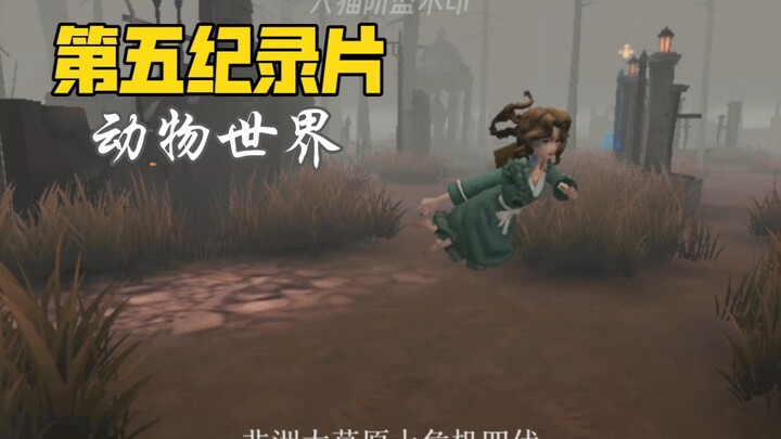 Documentary No. 5 (Special Edition): The Animal World