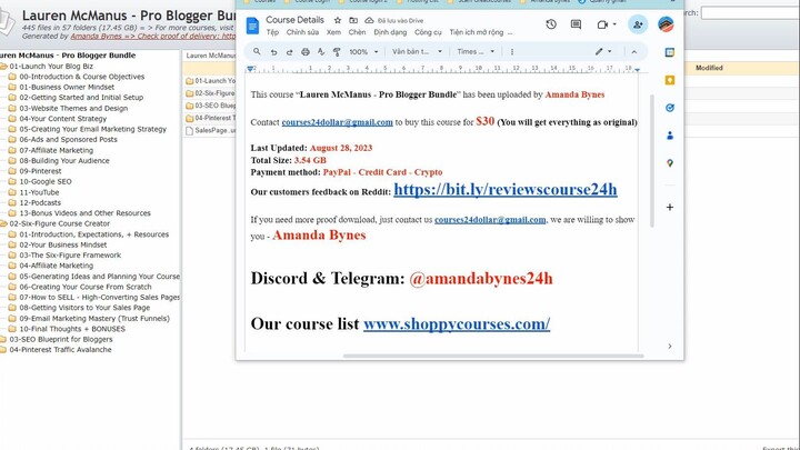 [$30] Lauren McManus   Pro Blogger Bundle