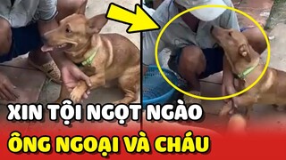 Màn XIN THA TỘI ngọt ngào của cháu trai NỊNH BỢ và ông ngoại 😂 | Yêu Lu