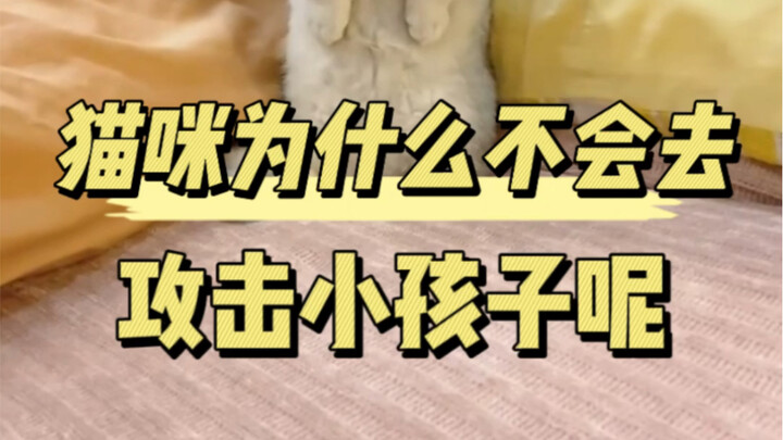 Why don’t cats attack small children?