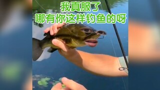 我真服了这个老6啊