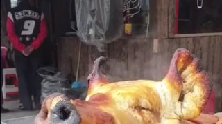 太残忍了，它的孩子怎么办 “在隔壁呢”