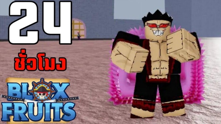 24ชั่วโมง ในBlox Fruits บักหำฮัคอยากซัดโดฟามิงโก้และอีโวเผ่าขั้น3 EP9